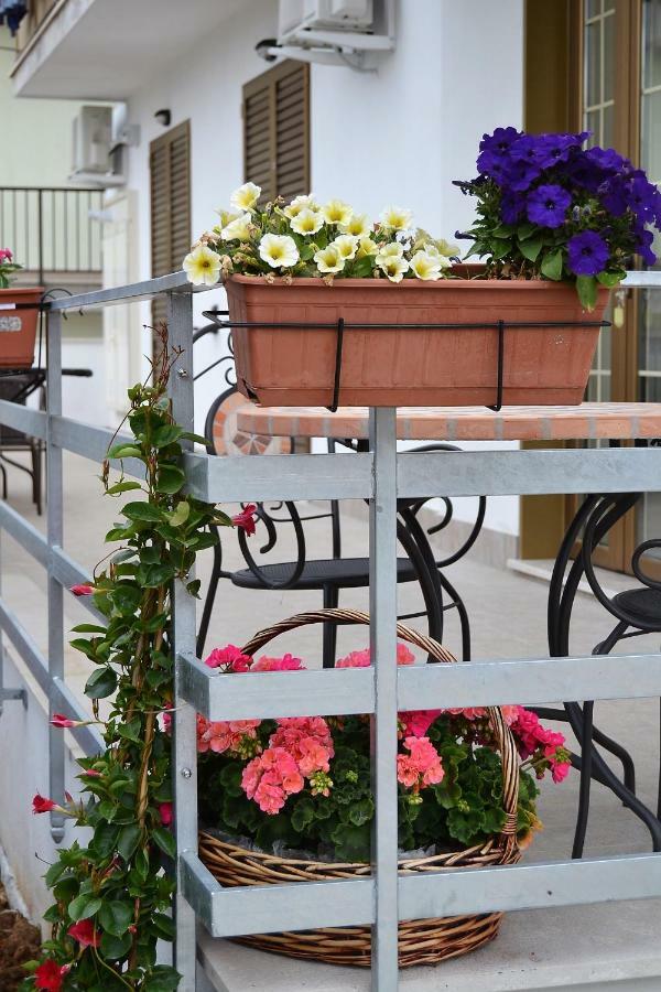 Guesthouse Holiday Formia Beach Eksteriør billede